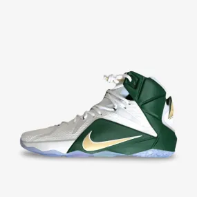 (Men's) Nike LeBron 12 PE Sample 'SVSM St. Vincent St. Mary Home' (2015) SP15-MNBSKT-410-551590